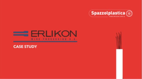 spazzolplastica for erlikon